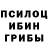 Псилоцибиновые грибы прущие грибы Artur Shymko